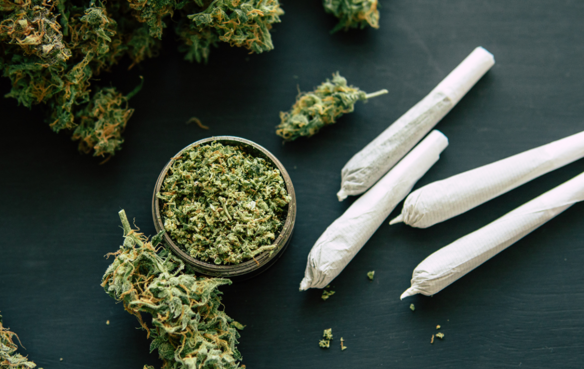 CanQuit: una ayuda práctica para dejar o reducir el consumo de cannabis