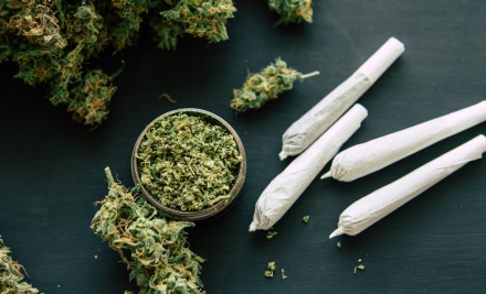 CanQuit: una ayuda práctica para dejar o reducir el consumo de cannabis